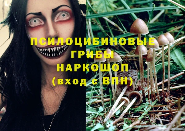 первитин Балахна